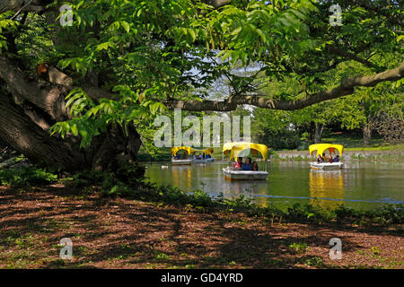 Gondoletta Boote, Kutzer Teich, Luisenpark, Mannheim, Baden-Württemberg, Deutschland Stockfoto