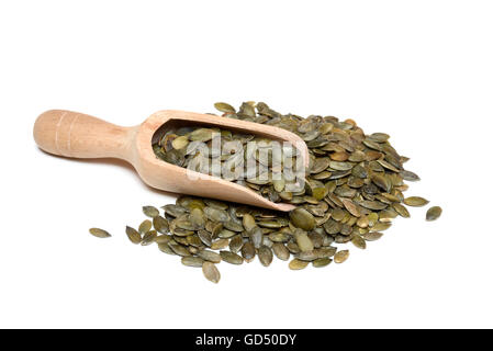 Kuerbiskerne Mit Holzschaufel, Cucurbita Spec. Stockfoto