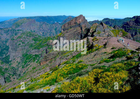 Berglandschaft am Pico de Arieiro (1818m), Wanderweg, Madeira, Portugal, Europa Stockfoto