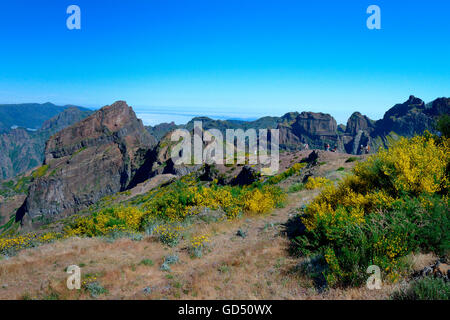 Berglandschaft am Pico de Arieiro (1818m), Wanderweg, Madeira, Portugal, Europa Stockfoto