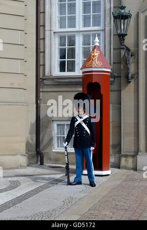 Wache Beim Schloss Amalienborg, Regierungssitz der Daenischen Koenigsfamilie, Kopenhagen, Daenemark Stockfoto