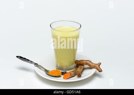 Kurkuma Milch, Kurkuma, Gelbwurz, Curcuma longa Stockfoto