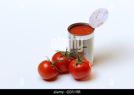 Geoeffnete Konservendose Mit Tomaten Und Reife Tomaten Stockfoto