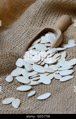 Kuerbiskerne Mit Holzschaufel, Ungeschaelt, Cucurbita Spec. Stockfoto