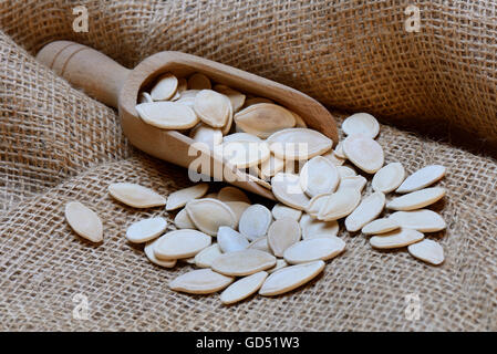 Kuerbiskerne Mit Holzschaufel, Ungeschaelt, Cucurbita Spec. Stockfoto