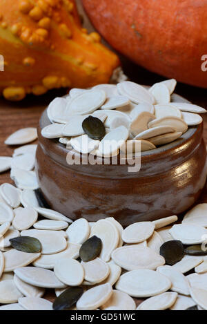 Kuerbiskerne, Cucurbita Spec. Stockfoto