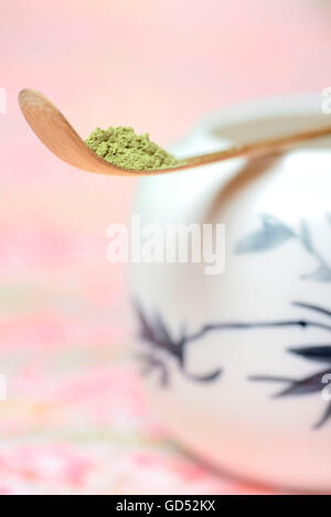 Japanische Matcha-Tee, Baomboo Löffel / grüner Tee, Tee-Caddy Stockfoto