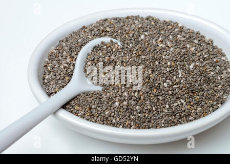 Chia Saat / (Salvia Hispanica) Stockfoto