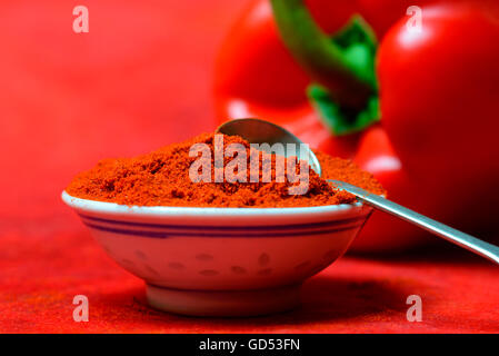 Paprika Pulver, Paprikapulver, Chilipulver / (Capsicum Annuum) Stockfoto