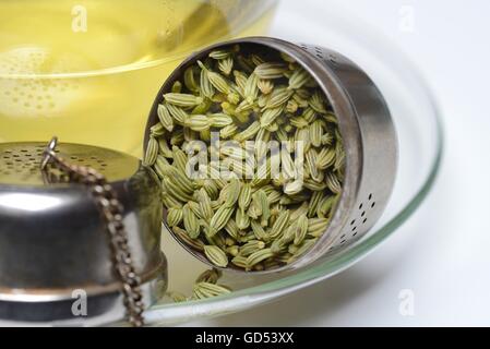 Fencheltee in Tasse Und Fenchelsamen in Loeffel, Fenchel-Tee Stockfoto