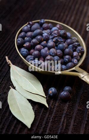 Getrocknete Wacholderbeeren in Messingkelle, Getrocknete Lorbeerblaetter / (Juniperus Communis), (Laurus Nobilis), Lorbeerblaetter, Lorbeerblaetter Stockfoto