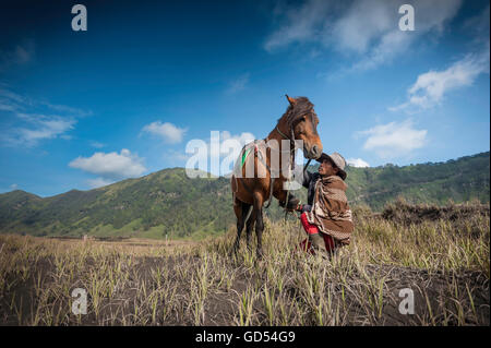 Pferd-Mann in Mount Bromo, Stockfoto