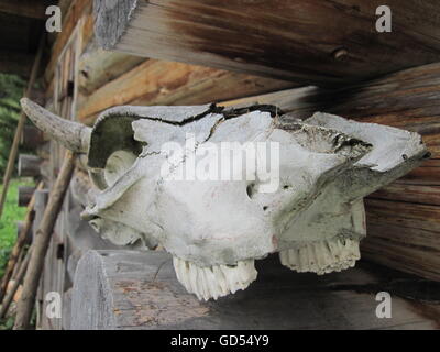 Tierische Schädel liegen auf der Seite ein Holzhaus, Allgäu, Deutschland Stockfoto