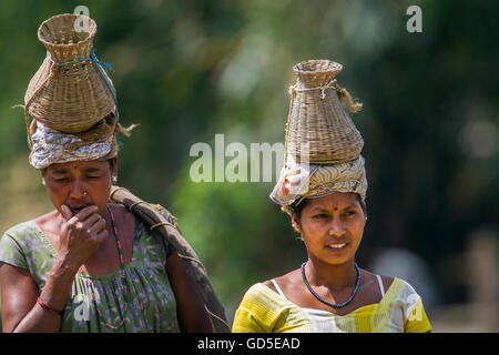 Tharu Frau in Nepali Terai tragen traditionelle Kleidung zum Angeln Stockfoto