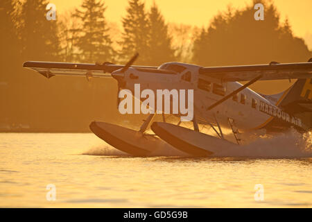 Turbine Single Otter Wasserflugzeug landet in Nanaimo Harbour, Nanaimo, Vancouver Island, Britisch-Kolumbien Stockfoto