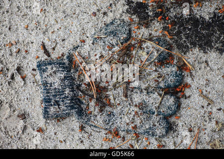 Eine verlorene Handschuh auf sandigem Boden. Stockfoto