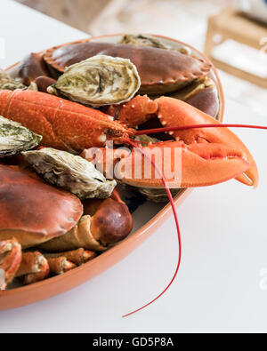 Hummer, Krabben und Austern Teller Stockfoto