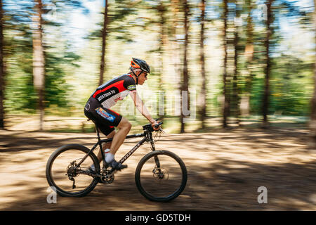 Gomel, Weißrussland - 9. August 2015: Mountain Bike Radsportler Track am sonnigen Tag, gesunde Lebensweise aktive Sportler Sport treiben. Stockfoto