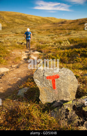 T loggen Sie sich Rock und Wanderer mit Rucksack Reisen in Norwegen Bergen Dovre Stockfoto