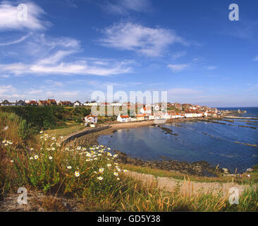 Sommer Blick Pittenweem, East Neuk, Fife Stockfoto