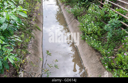 Kleinen konkreten Graben vor dem Dorf auf dem Lande in Thailand. Stockfoto