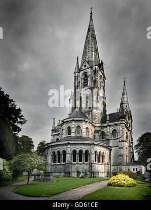 Kathedrale St. Colman in Cobh, Irland Stockfoto