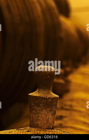 Malaga Virgen Weinkeller, Fuente de Piedra, Provinz Malaga, Andalusien, Spanien. Stockfoto