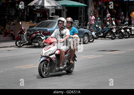 Thailand-Paar nimmt Hund auf Motorradfahrt. Thailand S. E. Asien. Stockfoto