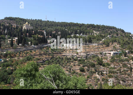 Israel, Jerusalem, die Russisch-orthodoxe Kirche in Ein Karem AKA russische Gornenskiy (Gorny) Kloster, Kirche von allen russischen Sain Stockfoto