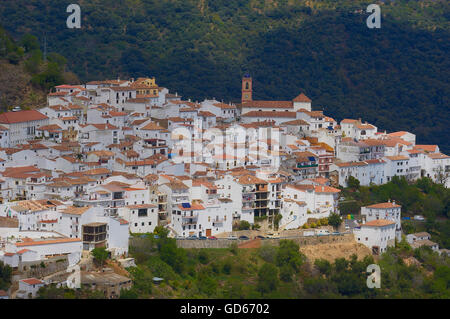 AlgatocIn, Genal Flusstal, Ronda Berge, weiße Dörfer, Pueblos Blancos SerranIa de Ronda, Provinz Malaga, Andalusien, Spanien Stockfoto