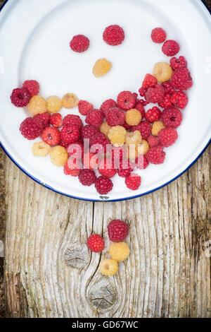 Rote und weiße Himbeeren auf einem Teller Emaille Stockfoto