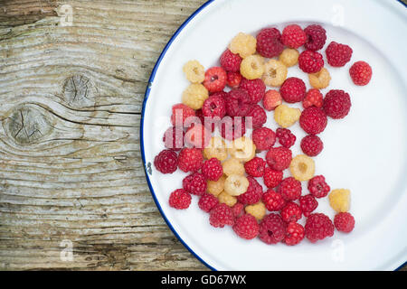 Rote und weiße Himbeeren auf einem Teller Emaille Stockfoto