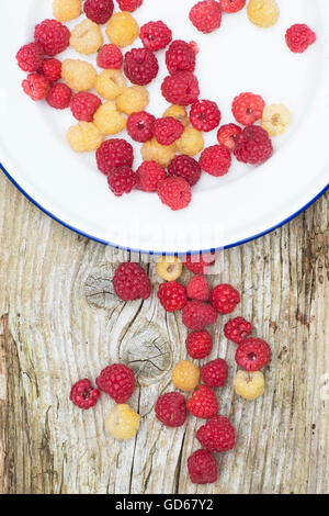 Rote und weiße Himbeeren auf einem Teller Emaille Stockfoto