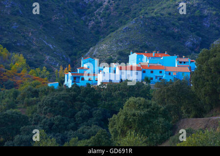 Juzcar, Genal Valley Genal Flusstal, Serrania de Ronda, Schlümpfe Dorf, Provinz Malaga, Andalusien, Spanien Stockfoto