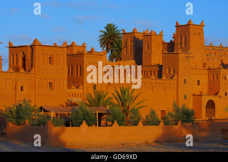 Amerhidil, Amridil, alte Kasbah, Skoura, Ouarzazate Region, Marokko, Afrika Stockfoto