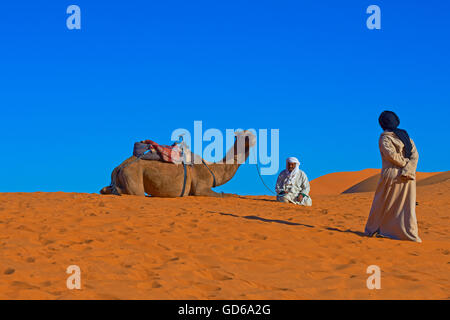 Merzouga, Erg Chebbi, Merzouga Sanddünen, Tuareg mit Kamel, Wüste Sahara, Marokko, Maghreb, Nordafrika, Stockfoto