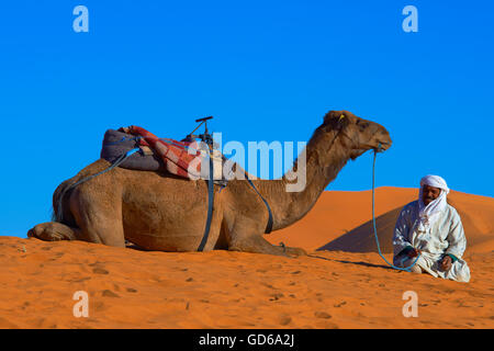 Merzouga, Erg Chebbi, Merzouga Sanddünen, Tuareg mit Kamel, Wüste Sahara, Marokko, Maghreb, Nordafrika, Stockfoto