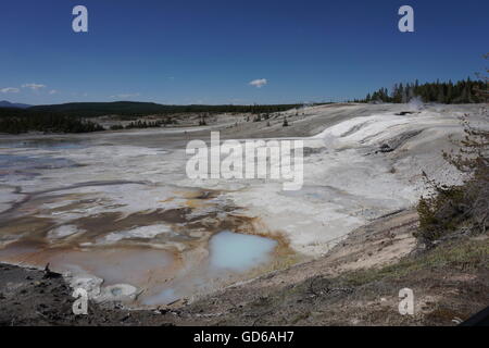Am Nachmittag Blick auf Norris Geyser Basin, Yellowstone-Nationalpark Stockfoto