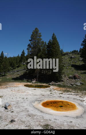 Wirtschaftlichen Geysir, Upper Geyser Basin, Yellowstone-Nationalpark Stockfoto