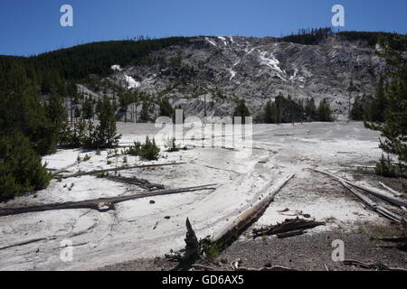 Roaring Mountain, Yellowstone-Nationalpark Stockfoto