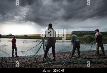 Am frühen Morgen Licht auf dem Fluss Tweed traditionelle Lachs angeln und die Fischer haul in Ihrer Net Stockfoto