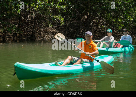 Eine Anleitung und Touristen auf einem Mangroven Tour in Kajaks führen von Iguana Tours in Quepos, Costa Rica. Stockfoto