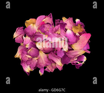 Rosenblätter welken und sterben auf einem schwarzen Hintergrund. Stockfoto