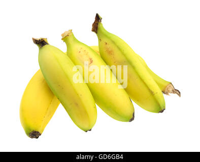 Eine Gruppe von drei kleinen Bananen gegen eine normale Größe Banane isoliert auf weißem Hintergrund Stockfoto
