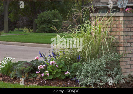 Postfach Pflanzung auf Ziegel Post mit Shasta Daisy 'Alaska', Geranie, Adagio Ziergras Stockfoto