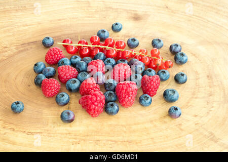 Gruppe von Himbeeren, Heidelbeeren und roten Johannisbeeren auf ein Holzbrett gelegt. Stockfoto