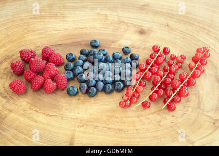 Gruppe von Himbeeren, Heidelbeeren und roten Johannisbeeren auf ein Holzbrett gelegt. Stockfoto