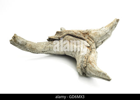 Alte Stück Holz geformt von der Natur auf isolierten weißen Hintergrund. Stockfoto