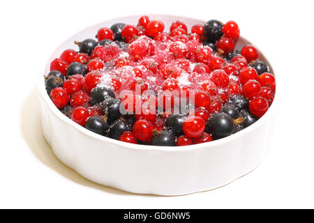 Rote und schwarze Johannisbeeren in einer kleinen Schüssel Stockfoto