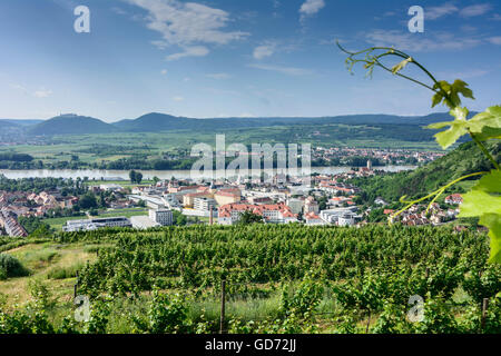 Krems an der Donau: Blick auf Weinberge im Bezirk Stein, Donau, Kloster Göttweig, Österreich, Niederösterreich, untere österreichische Stockfoto